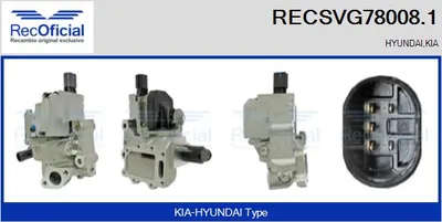 Válvula EGR Hyundai ELANTRA IV Saloon · Hyundai i40 I CW · Kia RIO III