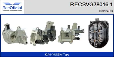 Válvula EGR Kia K2500 Platform/Chassis