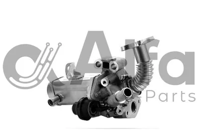 Elemento enfriador, reciclaje gases escape Nissan PATHFINDER III · Nissan NAVARA NP300 · Nissan NAVARA NP300 Platform/Chassis