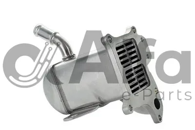 Elemento enfriador, reciclaje gases escape Renault MEGANE III Hatchback · Renault MEGANE III Coupe · Renault MEGANE III Grandtour