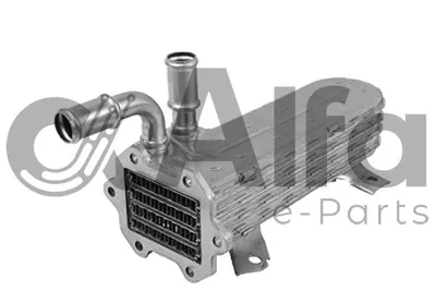 Elemento enfriador, reciclaje gases escape Audi A3 · Audi A4 B6 · Audi A4 B6 Avant