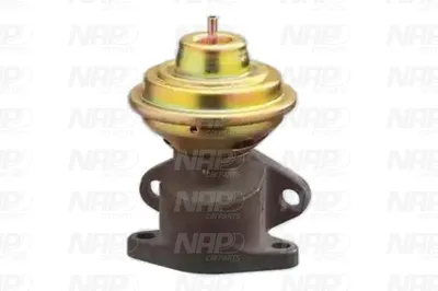 Válvula EGR NAP carPARTS CAV10010
