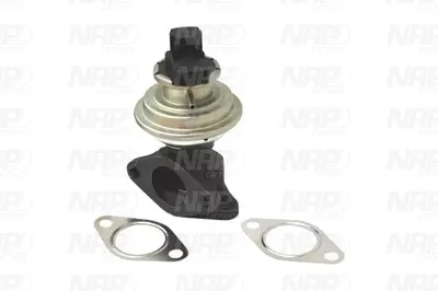 Válvula EGR NAP carPARTS CAV10011