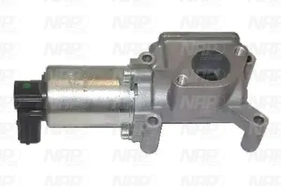 Válvula EGR NAP carPARTS CAV10042