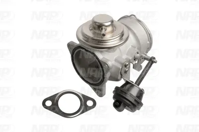 Válvula EGR NAP carPARTS CAV10051