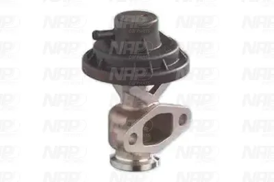 Válvula EGR NAP carPARTS CAV10090