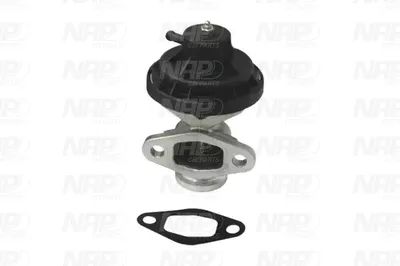 Válvula EGR NAP carPARTS CAV10091