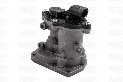 Válvula EGR NAP carPARTS CAV10097