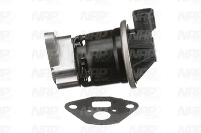 Válvula EGR NAP carPARTS CAV10101