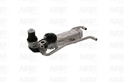 Válvula EGR NAP carPARTS CAV10119