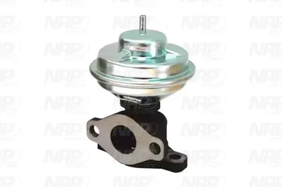 Válvula EGR NAP carPARTS CAV10143