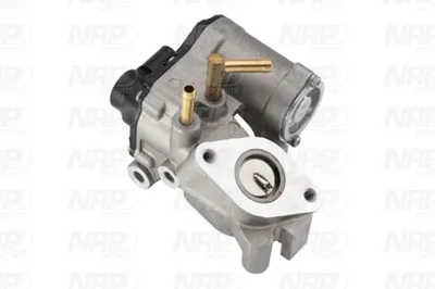 Válvula EGR NAP carPARTS CAV10145