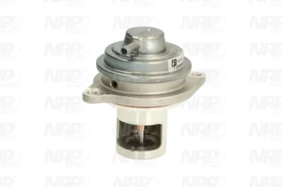 Válvula EGR NAP carPARTS CAV10148
