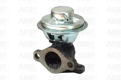 Válvula EGR NAP carPARTS CAV10151