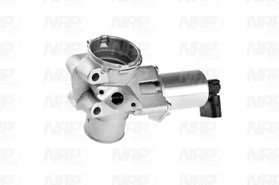 Válvula EGR NAP carPARTS CAV10155