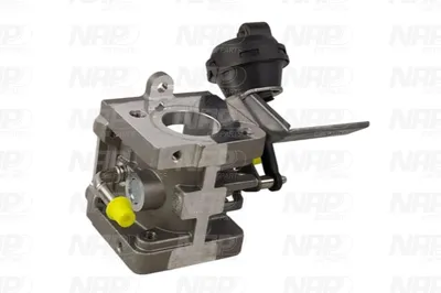 Válvula EGR NAP carPARTS CAV10170