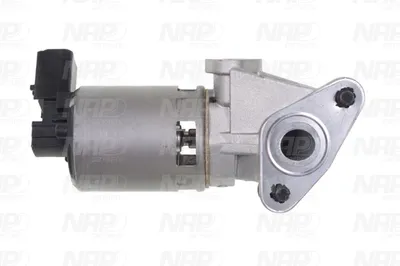 Válvula EGR NAP carPARTS CAV10172