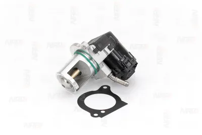Válvula EGR NAP carPARTS CAV10173
