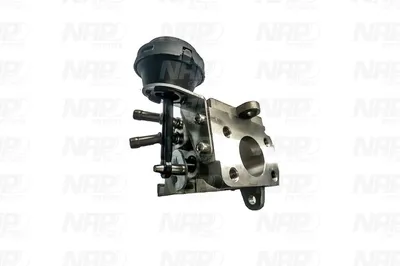 Válvula EGR NAP carPARTS CAV10177