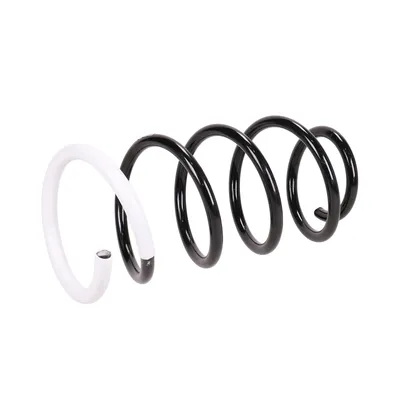 Fahrwerksfeder vorne