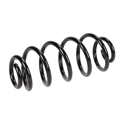 Fahrwerksfeder hinten