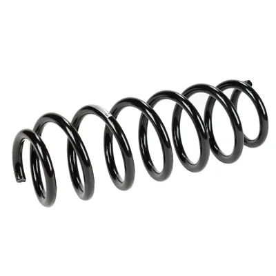 Spiralfeder hinten
