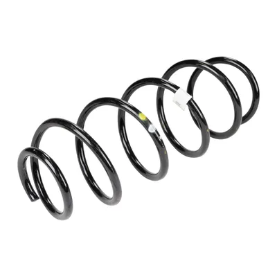 Spiralfeder vorne