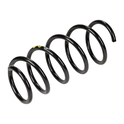 Spiralfeder