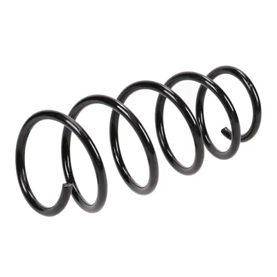 Spiralfeder