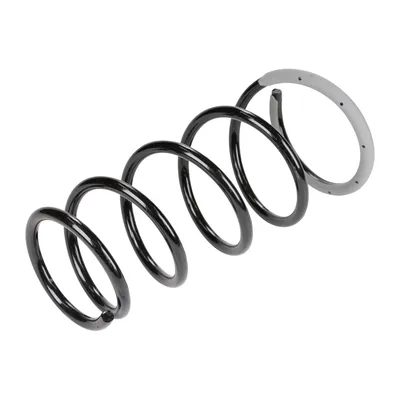 Spiralfeder vorne