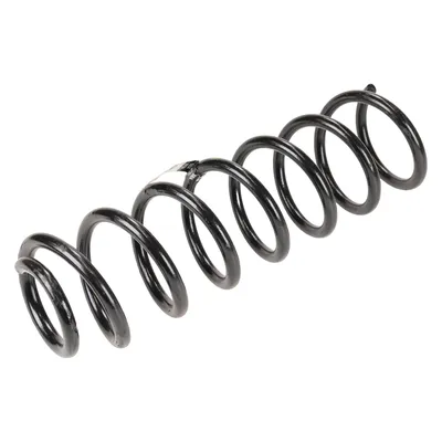 Spiralfeder