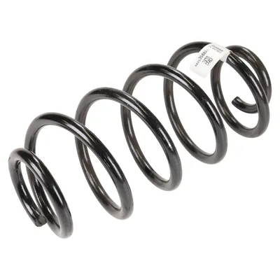 Spiralfeder hinten