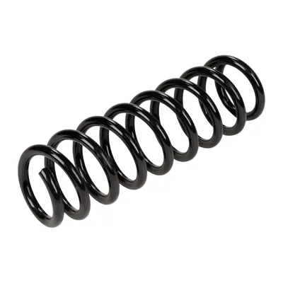 Spiralfeder hinten