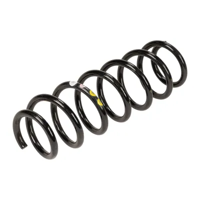 Spiralfeder hinten