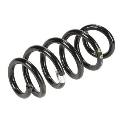 Spiralfeder hinten