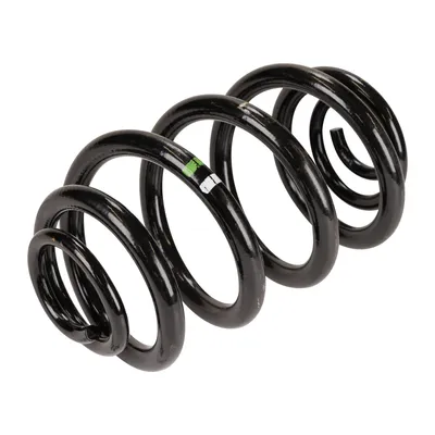 Spiralfeder hinten