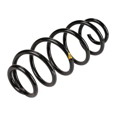 Spiralfeder hinten