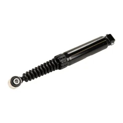 Stoßdämpfer hinten