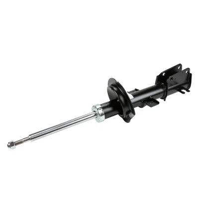 Stossdämpfer hinten