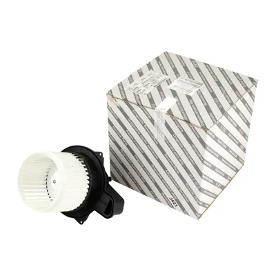 Heizungsgebläsemotor