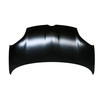 Motorhaube Fiat Panda