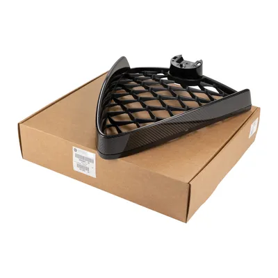 Kühlergrill mit Carbon-Einsätzen